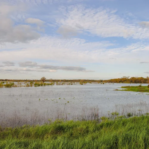 CFMB site visit 2016.03