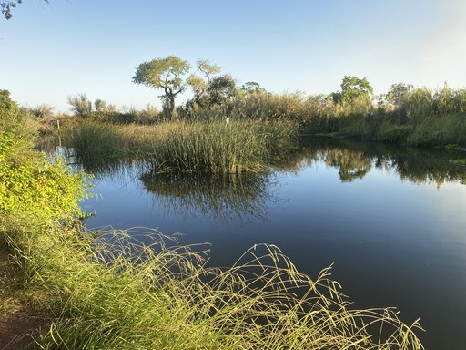 Cache Slough_9.1.22_5