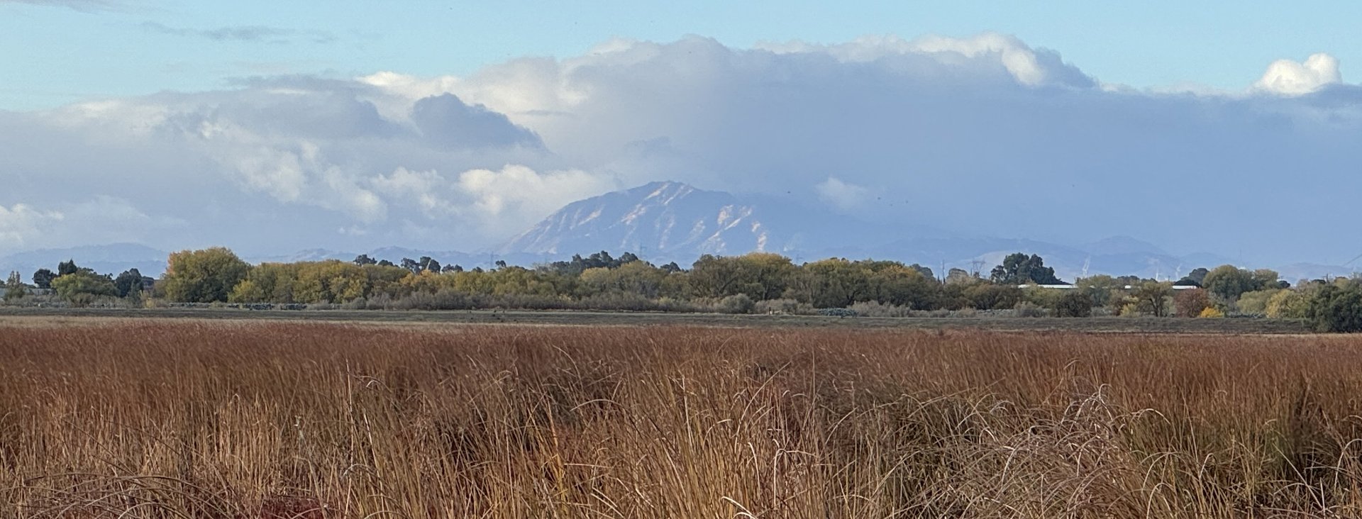 Cache Slough Mitigation Bank project
