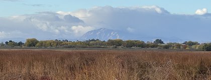 Cache Slough Mitigation Bank project image