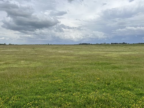 Cahce Slough_before restoration