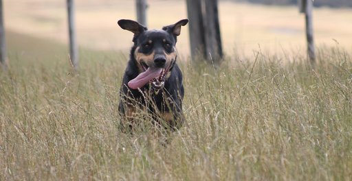 Claire_Hall.width-1536