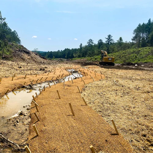 Coosa downstream 6B2_7.29