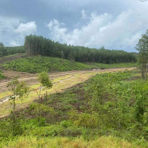 Coosa_post constructio_8.20