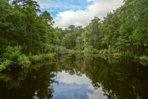 Red Bluff Mitigation Bank
