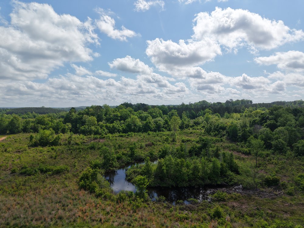Tuckabum Creek Mitigation Bank project