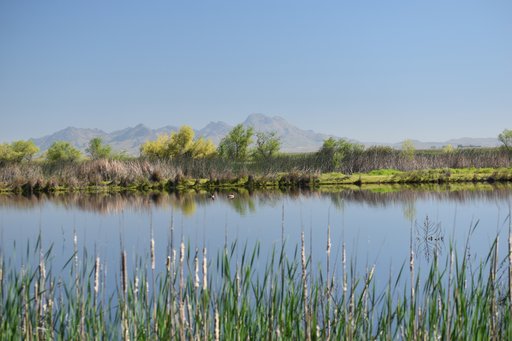 Colusa Basin Mitigation Bank