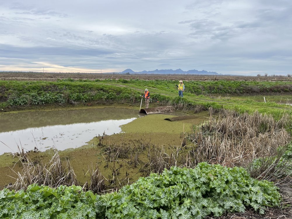 Drumheller Slough Conservation Bank project