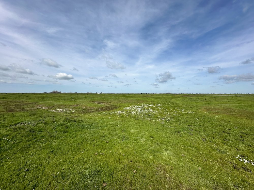 Dutchman Creek Conservation Bank project