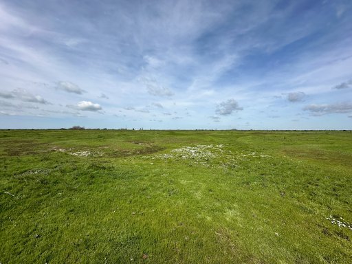 Dutchman Conservation Bank in the spring with flowers blooming