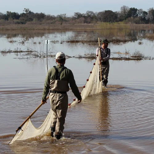 Flood Event 2015_Cosumnes