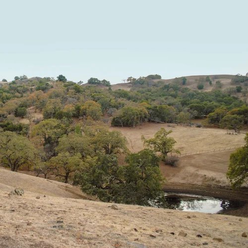 French Ranch 033_edited