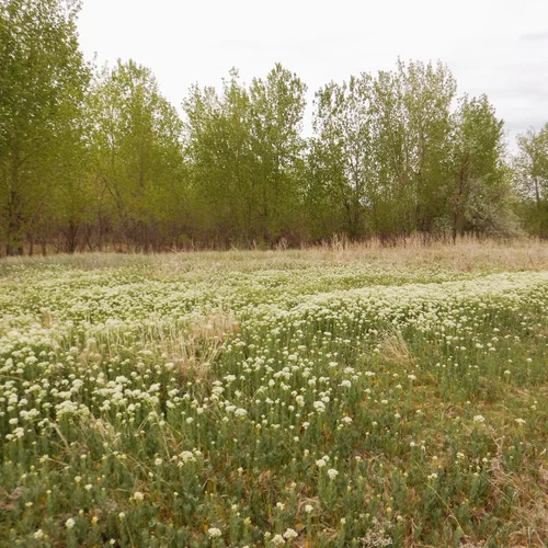 Front Range_landscape