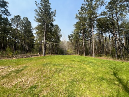 Gilmore Wetland Site - 6