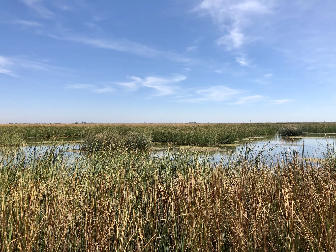 Grasslands 9.26.18-1