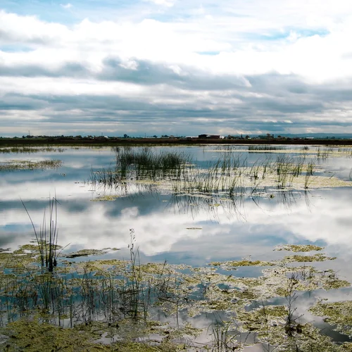 Grasslands_edited_wetland