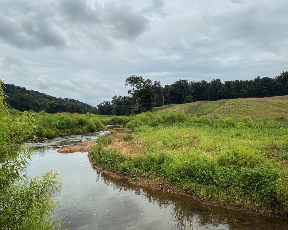 Hayes Fork Creek  Mitigation Site project
