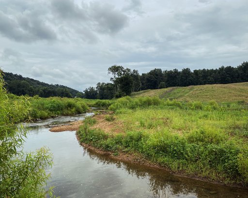 Stream restoration at Hayes Fork Creek Mitigation Site
