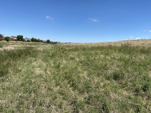 Akers Wetland Mitigation Site