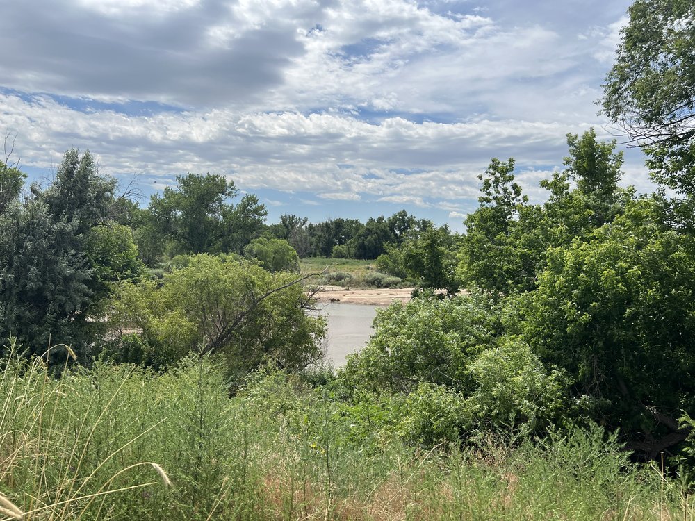 Mule Deer HPH Mitigation Site project