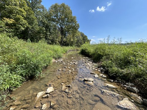 Stream restoration at Bumpus Mills Mitigation Bank