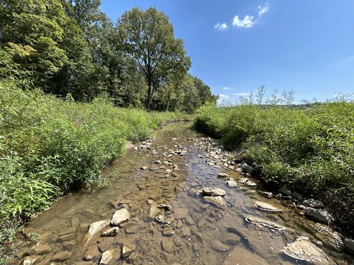 Bumpus Mills_8.27.2024