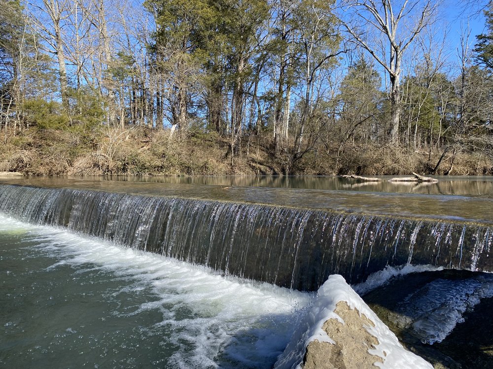 Buzzard Branch Mitigation Site project