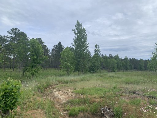 Restored stream at Enon Sehoy Mitigation Bank