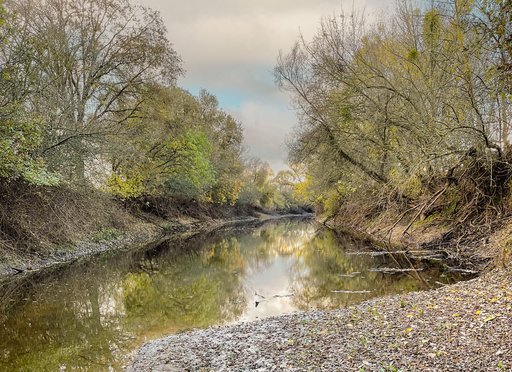 Cosumnes River cutting through Johnson Cosumnes Mitigation Banka