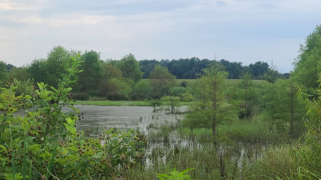 Johnson Farms Site project