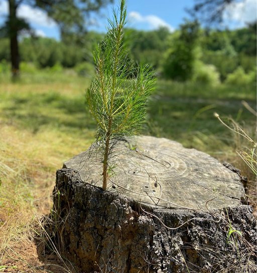 Josh_Sasser.width-1536