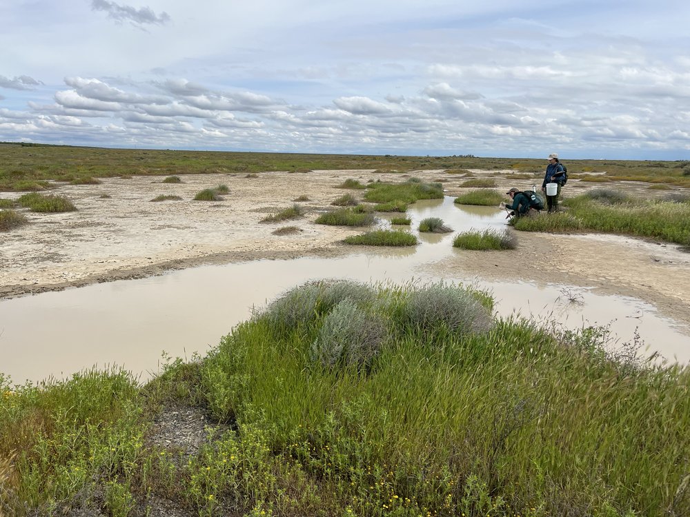 Jumper Conservation Bank project