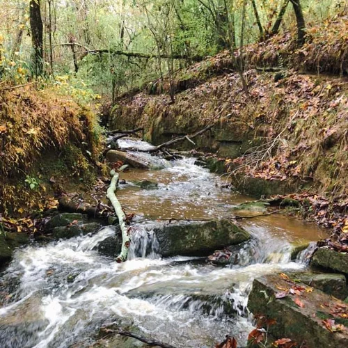 Locust Fork_landscape