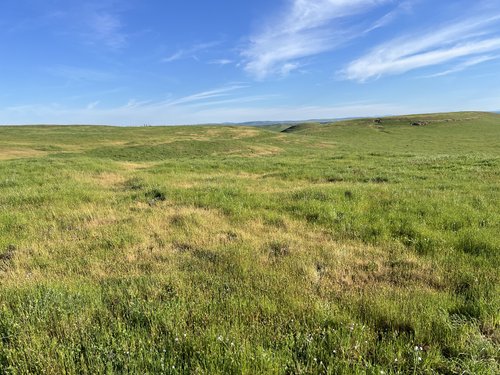 Grasslands at Golden Hills Preserve