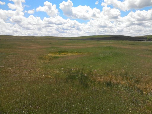 Mariner Vernal Pool Conservation Bank
