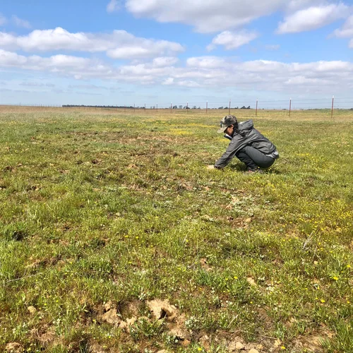 Mariner 2020-03-23 Melony