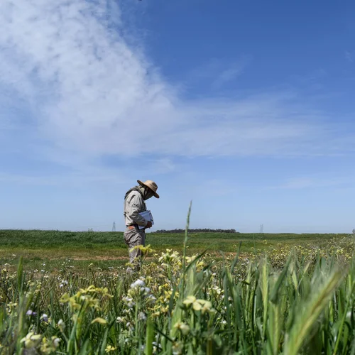 Markham_Chad_Aakre_3_2021