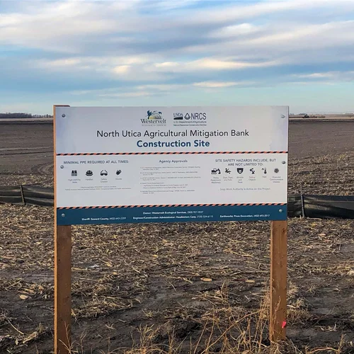 BT_restoration_design