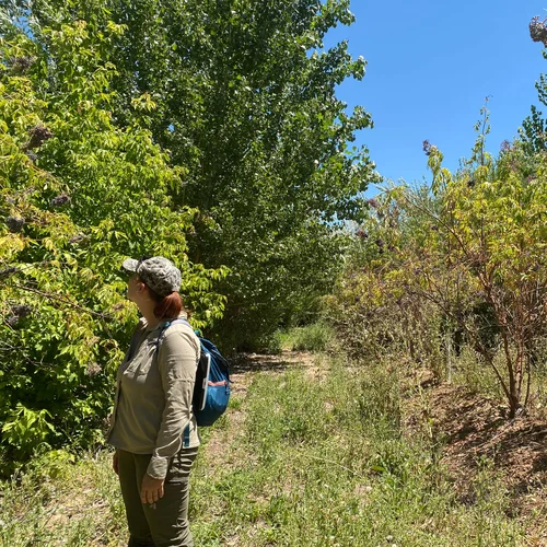 Nicolaus 2020-07-22 020 Gen Site Photo