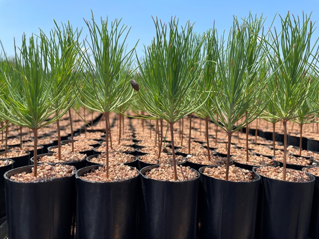 Sustainability Starts Small