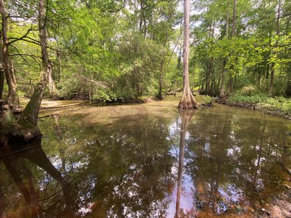 Lawrenceville, Georgia
