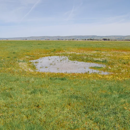 Palermo 2018-03-29 008