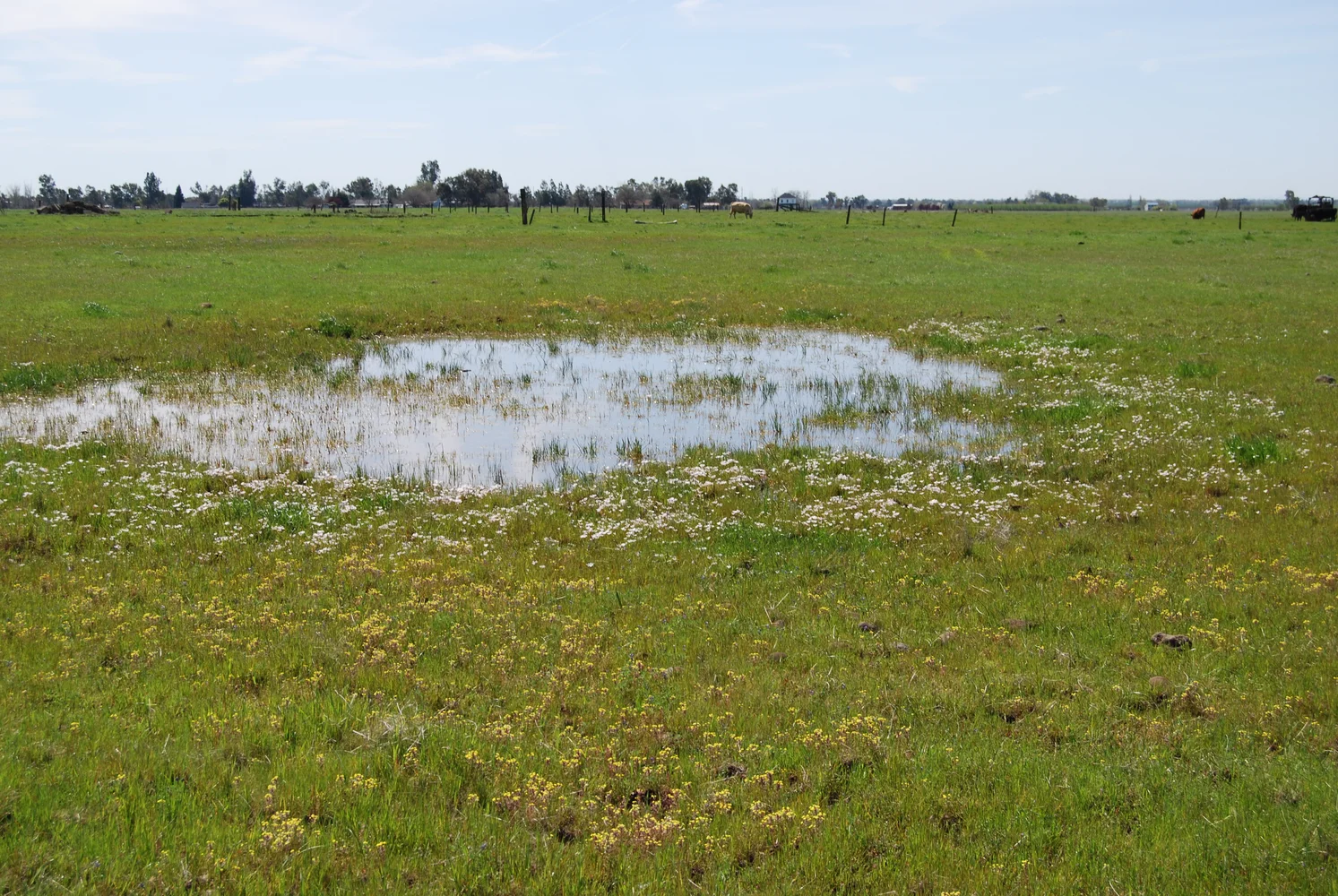 Palermo 2018-03-29 011