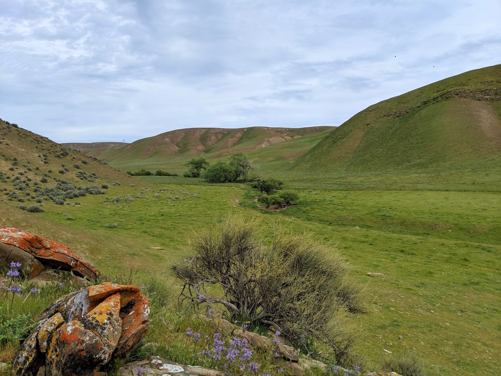 Piedra Azul Conservation Bank project