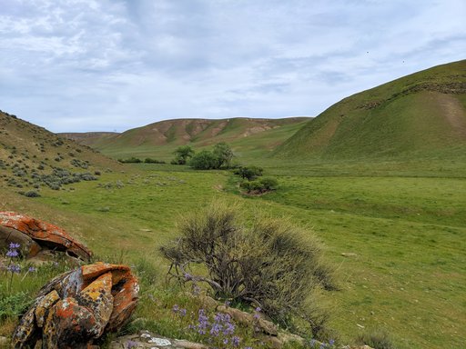 Piedra_Azul_no pad_no telephone pole