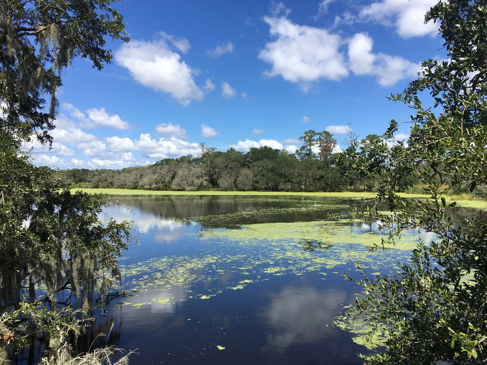 Point Farm Salt Marsh Mitigation Bank project