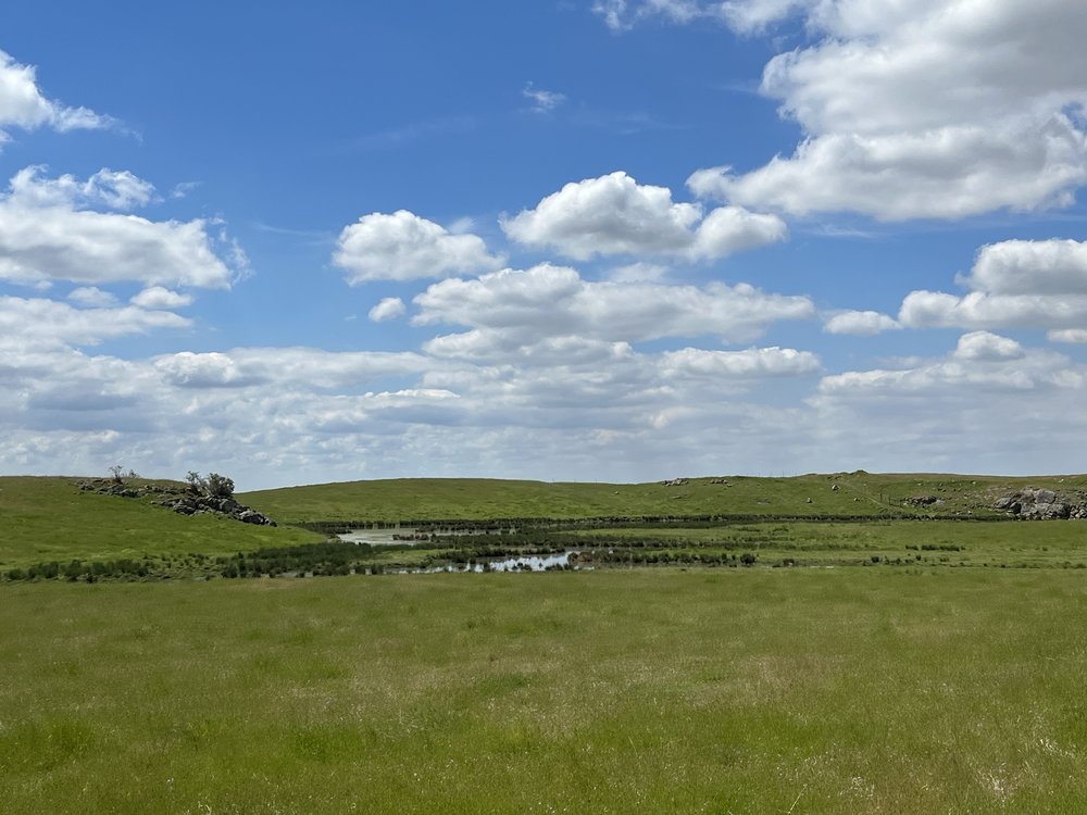 Buck Ridge Conservation Bank project