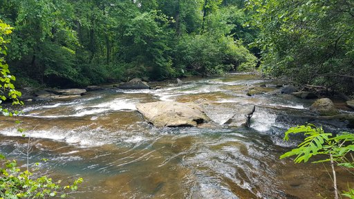 Stream at Schultz Creek Mitigation Site