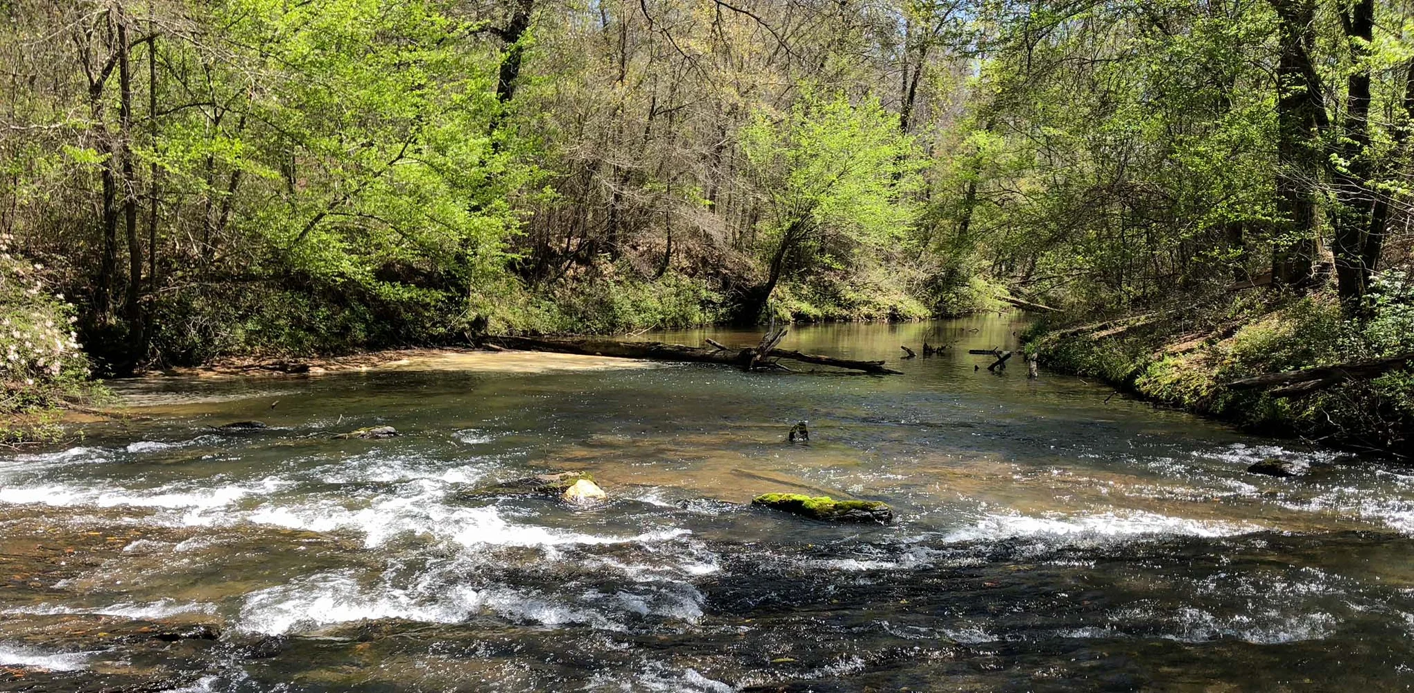 Schultz_creek landcapejpg