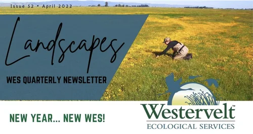 Screen Shot 2022-04-05 at 2.36.25 PM